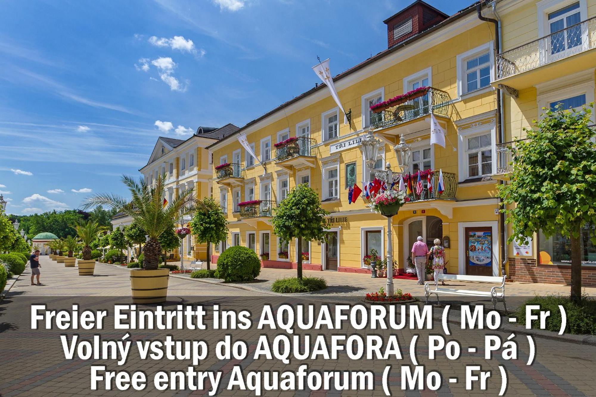 Hotel Three Lilies Inkl Aquaforum Františkovy Lázně Zewnętrze zdjęcie